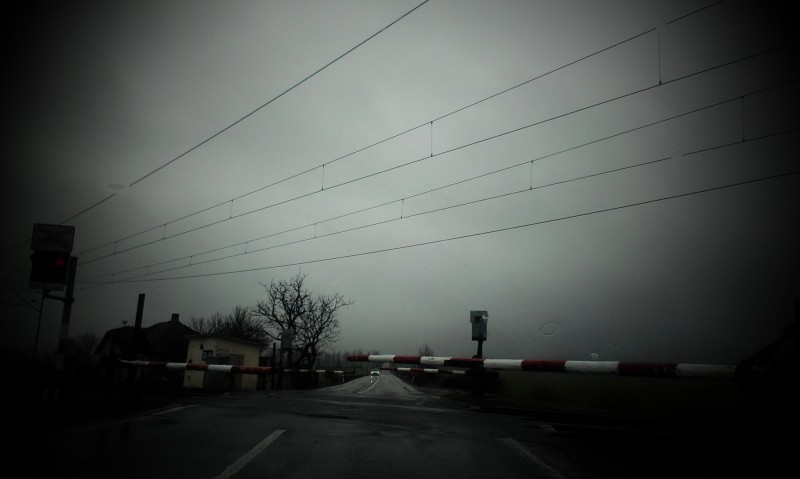 IMAG0617.jpg