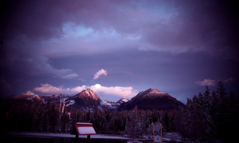 IMAG0166.jpg