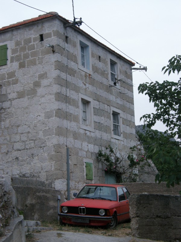 P7010184.JPG