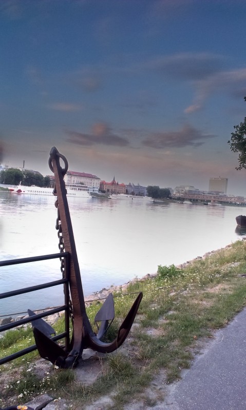 IMAG0644.jpg