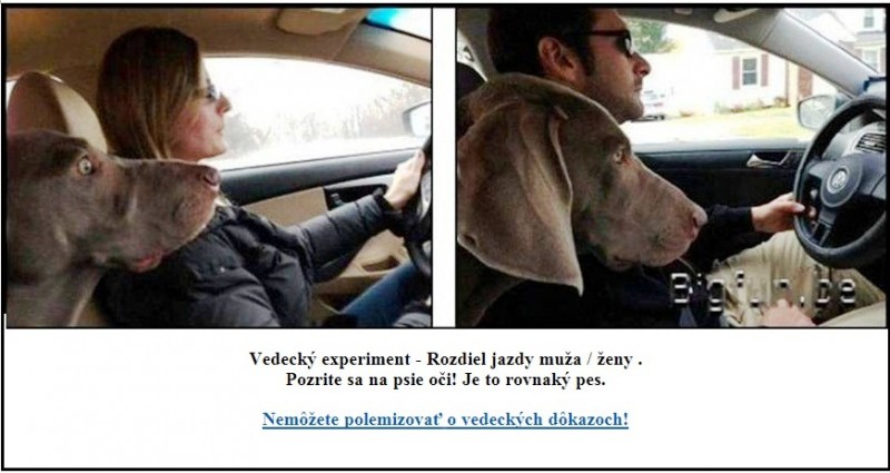 Experiment.jpg (108.55 KiB) 1990 zobrazení Experiment.jpg