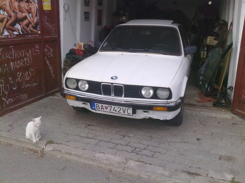 p6.jpg