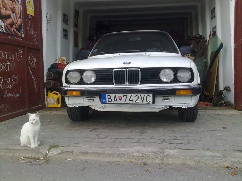 p5.jpg