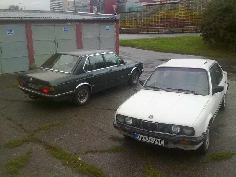 p1.jpg