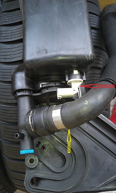 IMAG0633.jpg