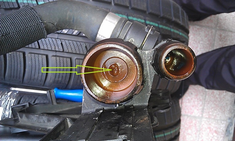 IMAG0639.jpg