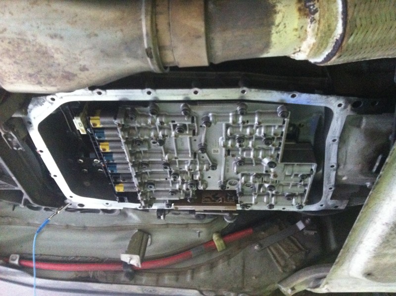 ZF 008.jpg