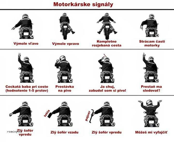 moto.jpg