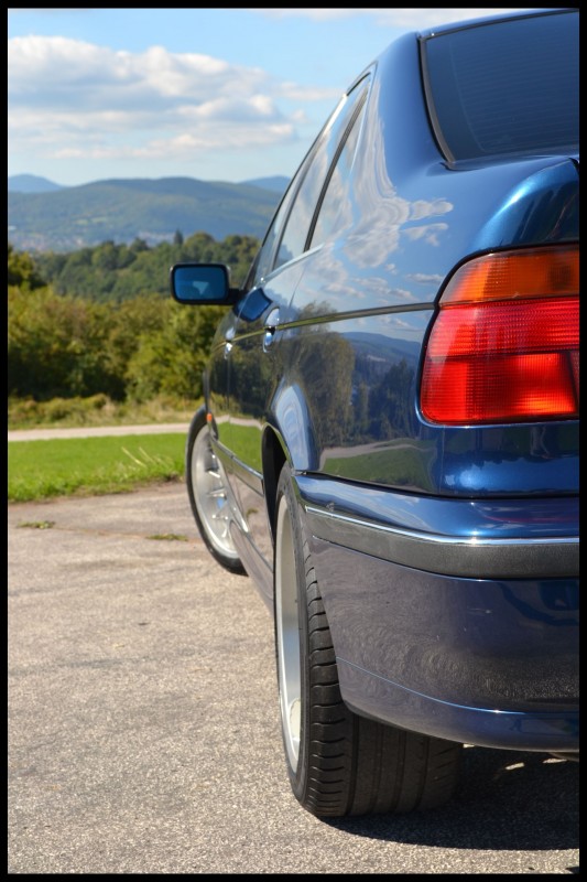 DSC_0499.jpg