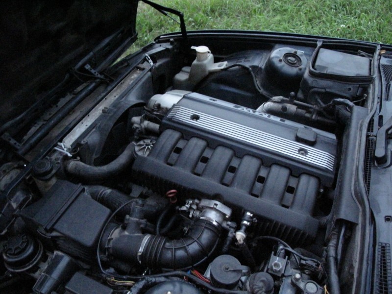 motor_resize.JPG