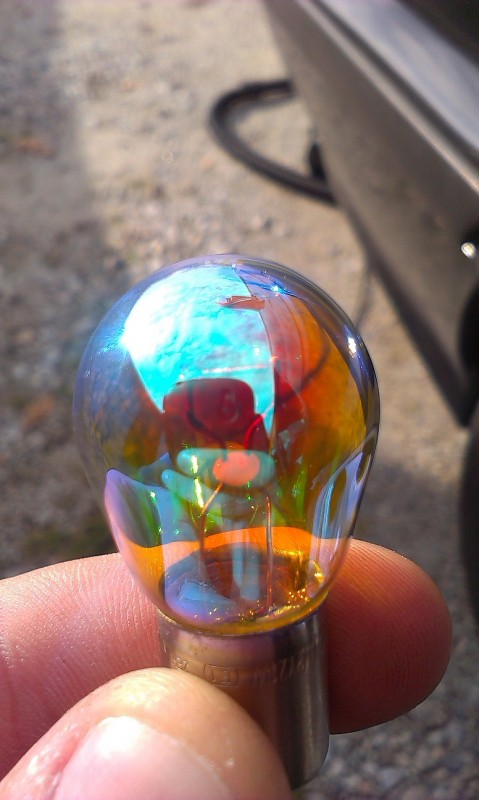IMAG0925.jpg