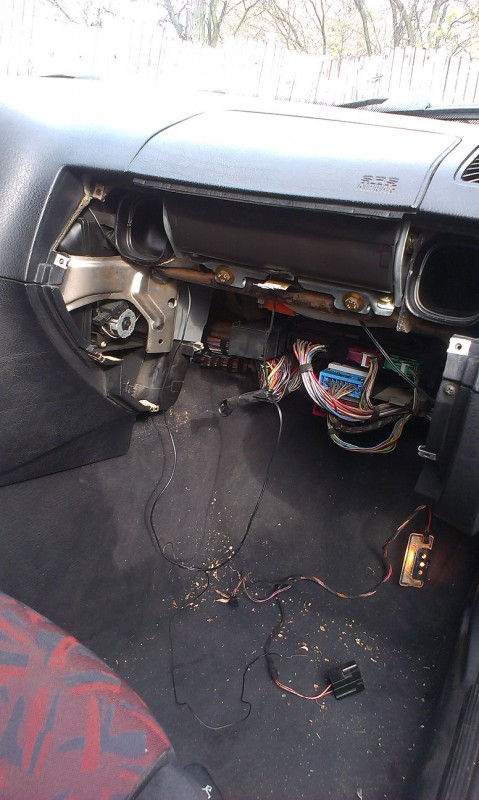 IMAG0923.jpg