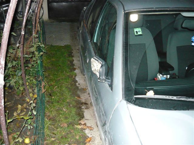 P1000066.JPG