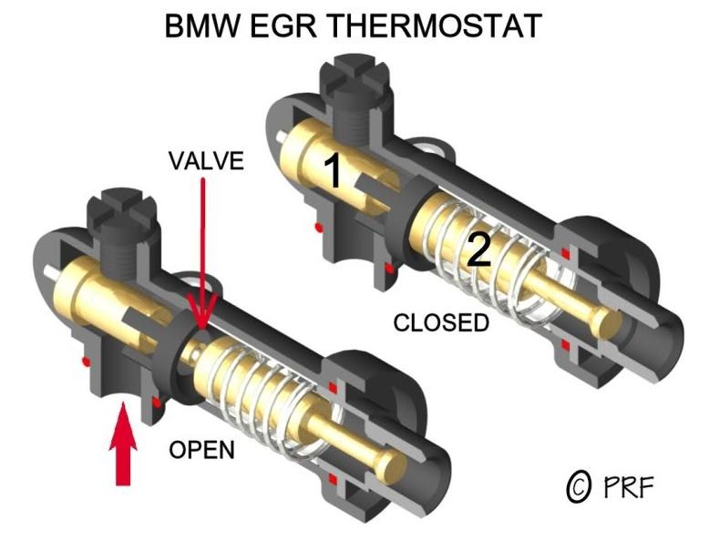 EGR termostat.jpg