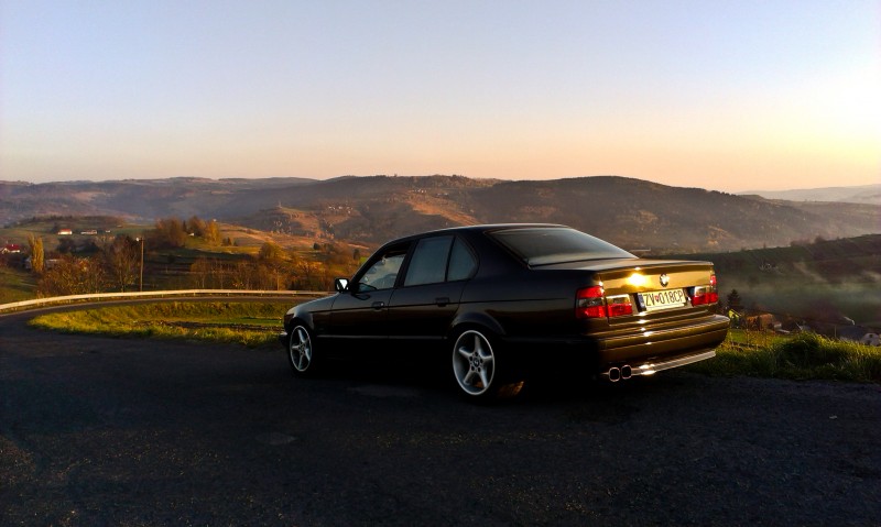 IMAG0166.jpg