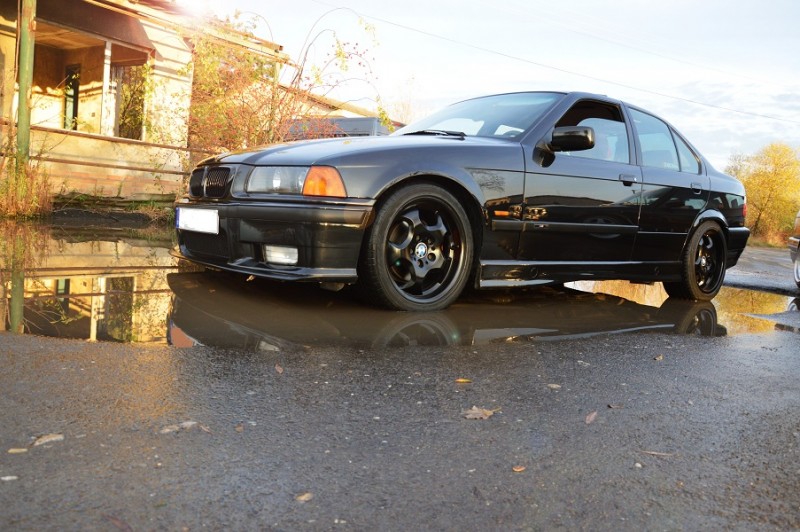 e36,41.jpg