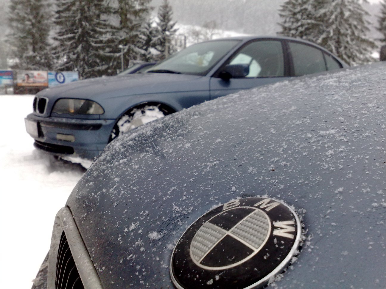 23112008343_1m.jpg