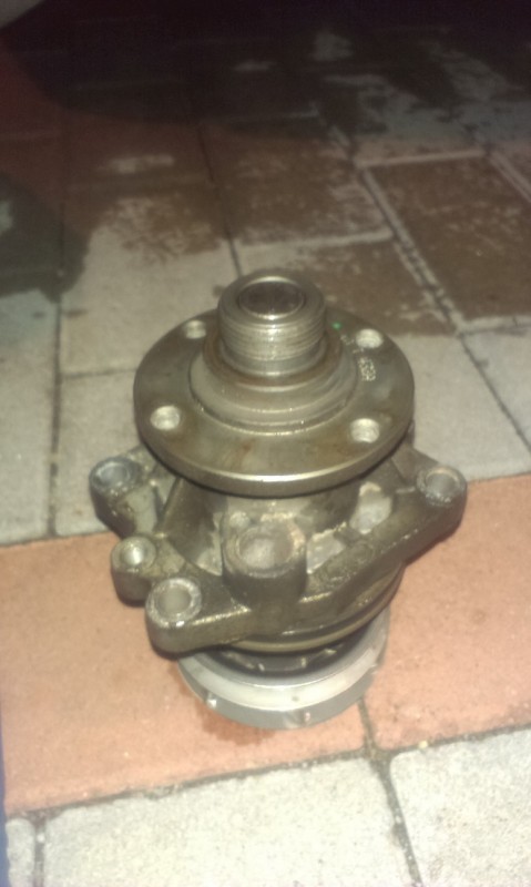 IMAG0950.jpg