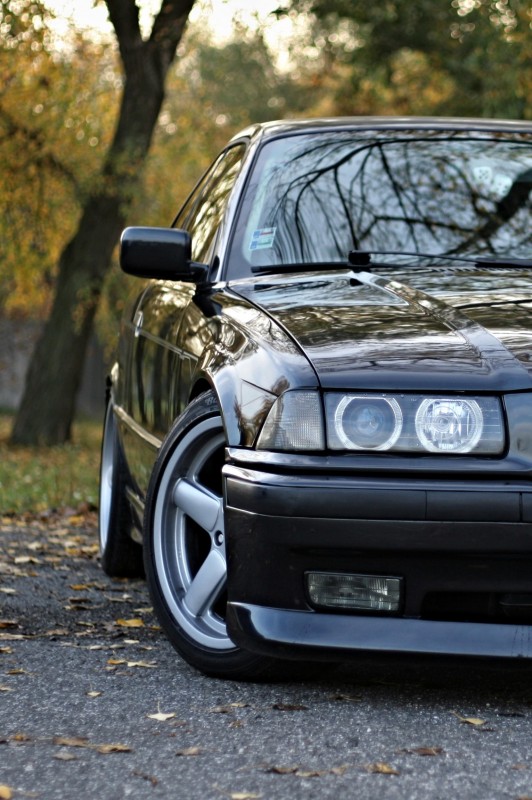 IMG_6960crop.jpg