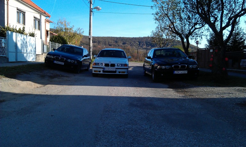IMAG0323.jpg