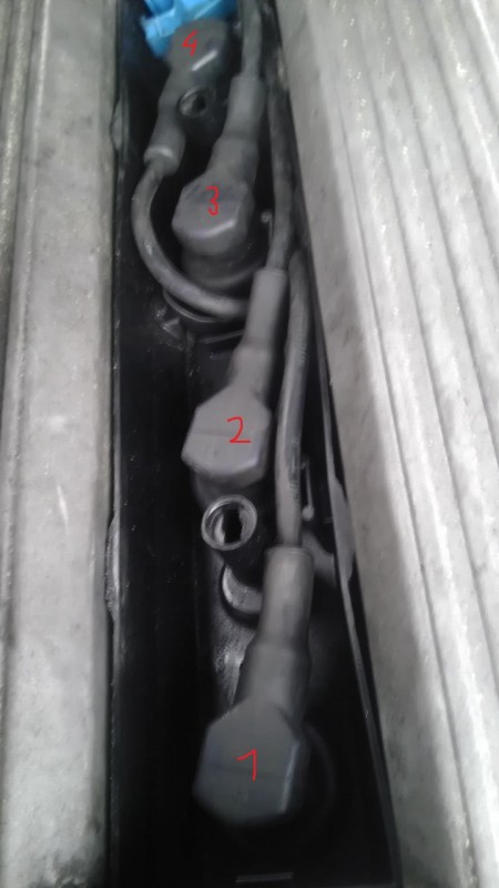 IMAG0193.jpg