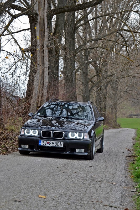 DSC_0003.JPG
