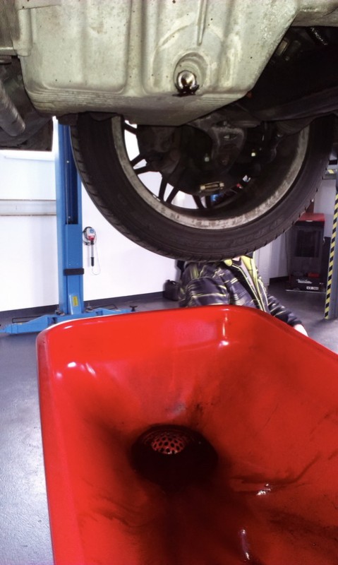 IMAG0903.jpg
