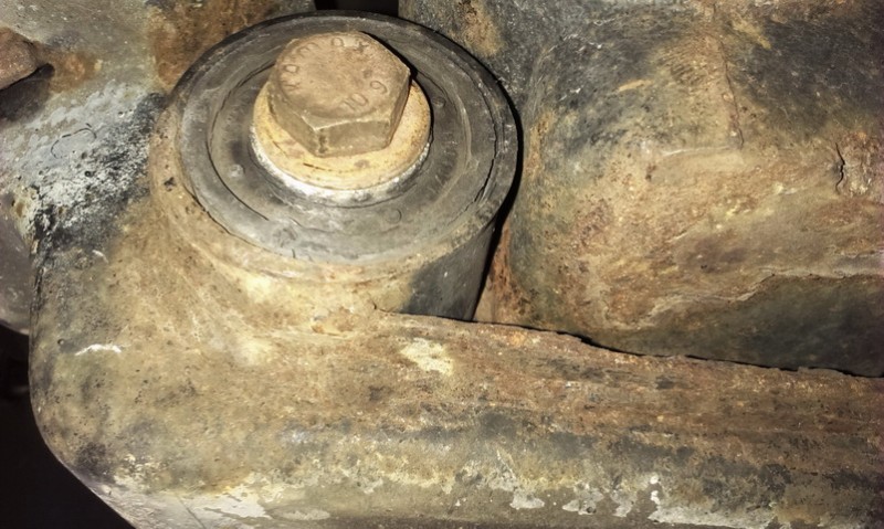 IMAG0901.jpg