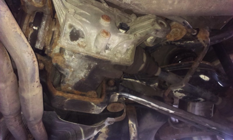 IMAG0895.jpg