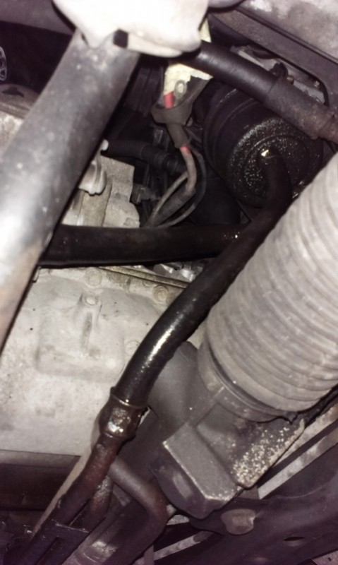 IMAG0906.jpg
