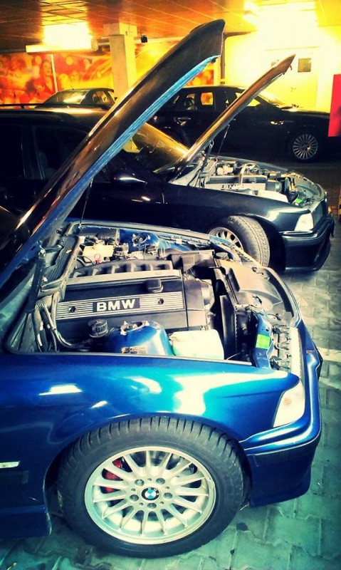 bmw2.jpg