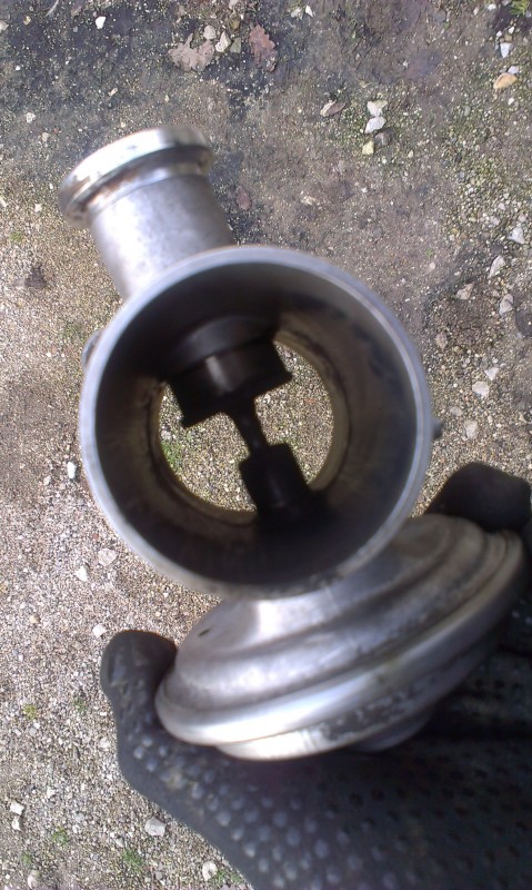 IMAG0407.jpg