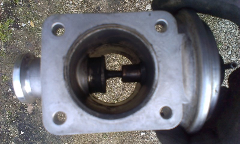 IMAG0406.jpg