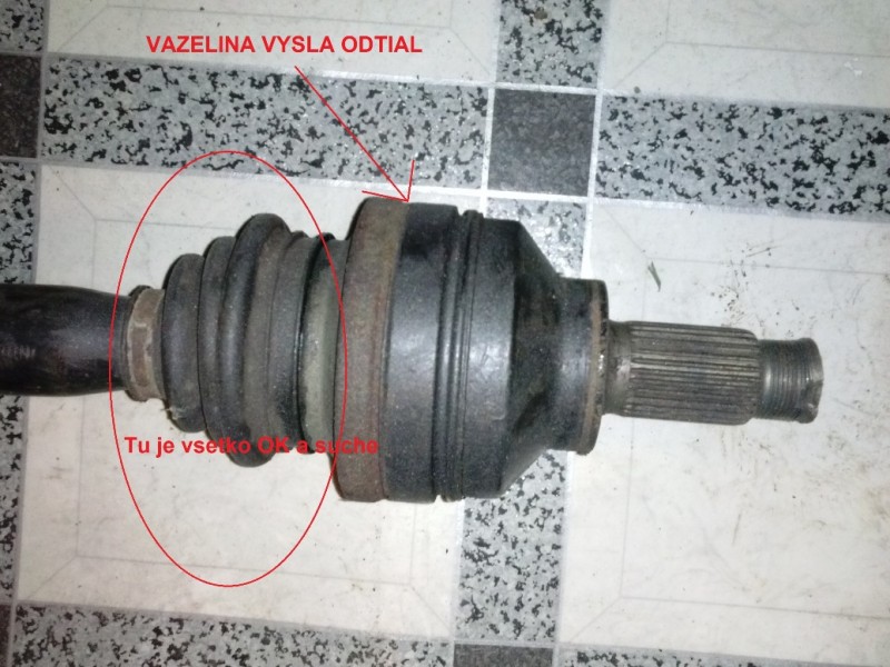 CAM00320.jpg