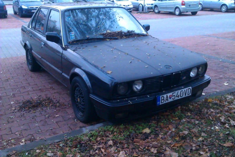 IMAG0095.jpg
