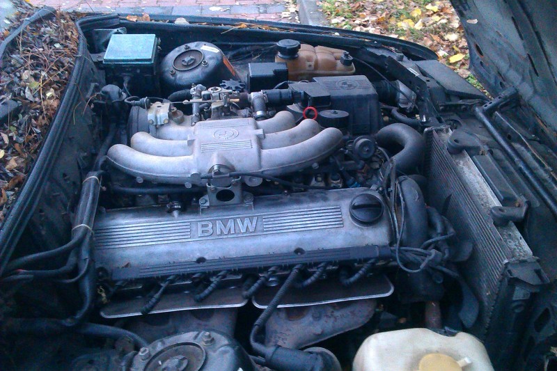 IMAG0097.jpg