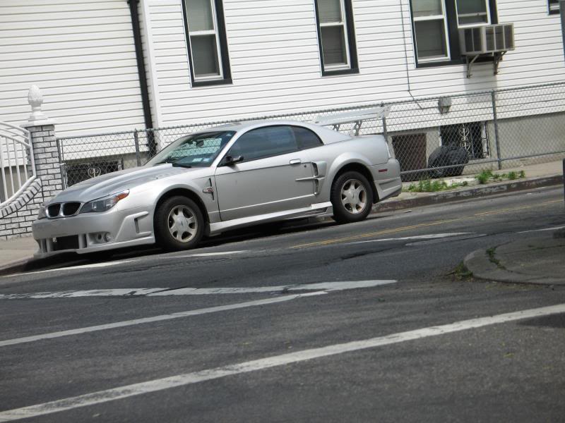 img04038if.jpg