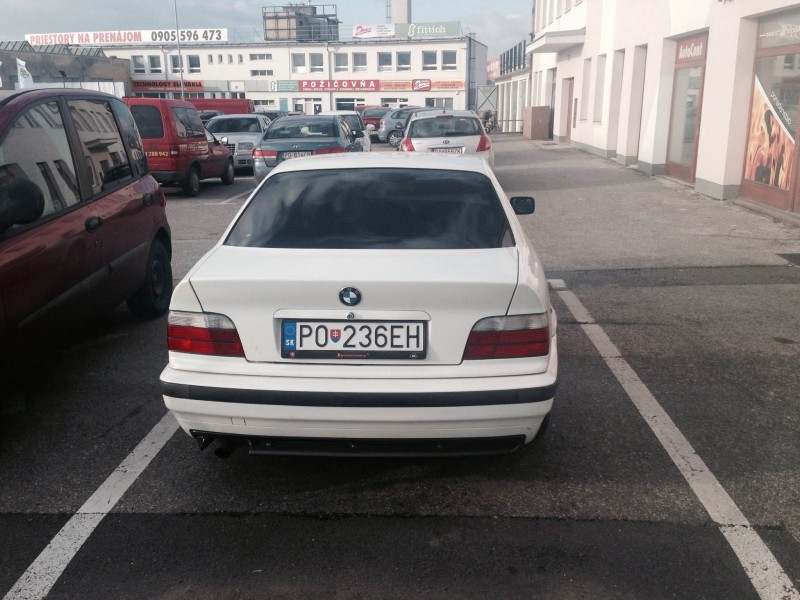 back.jpg