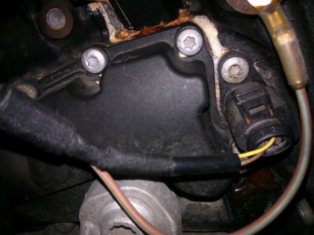WP_000492.jpg