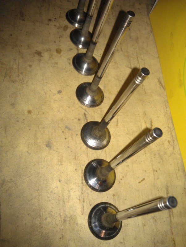 IMAG1775.jpg