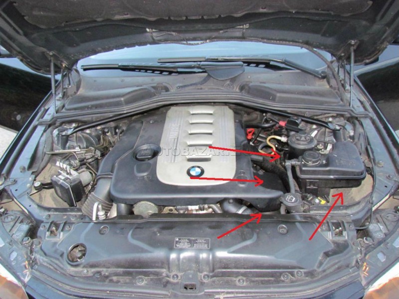 4643254_24.jpg