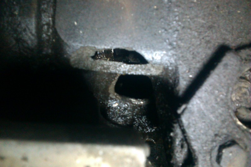 IMAG0110.jpg