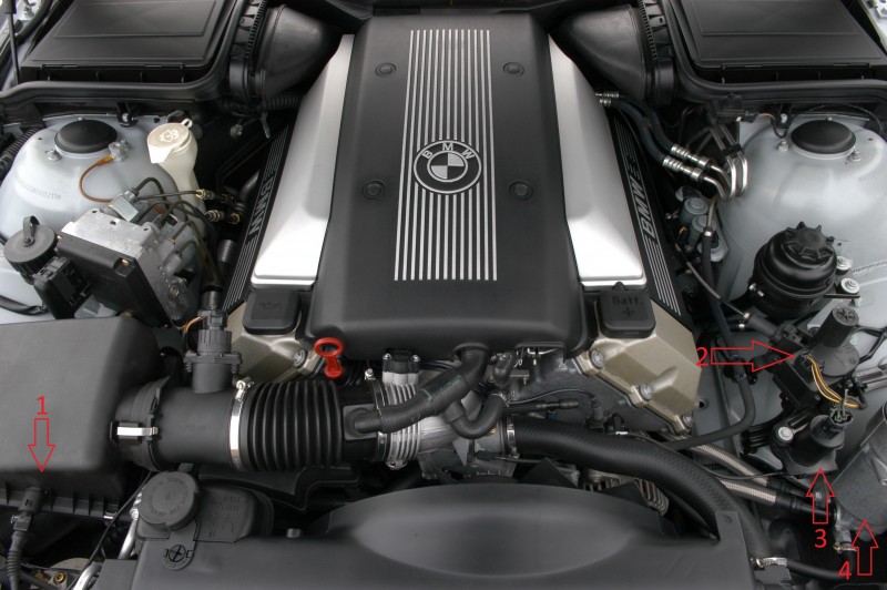 BMW_M62B44.jpg