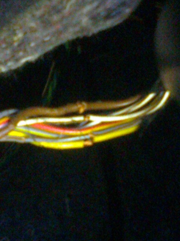 Fotografia0023.jpg