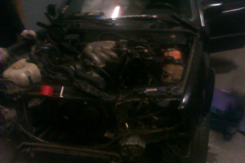IMAG0132.jpg