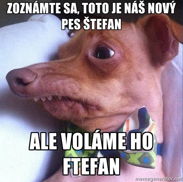 ftefan.jpg