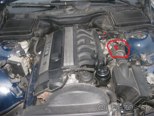 32518134.jpg