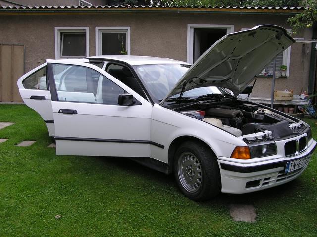 334770_8.jpg