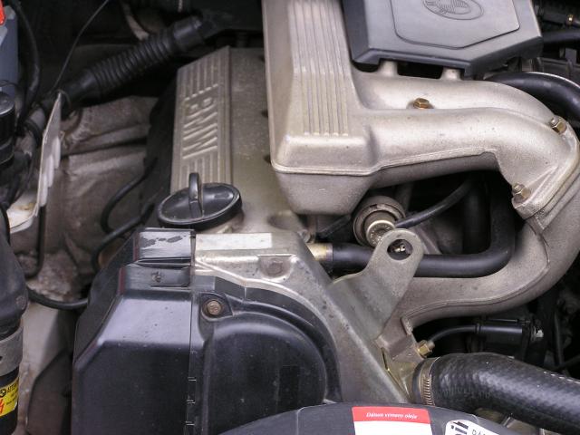334770_6.jpg