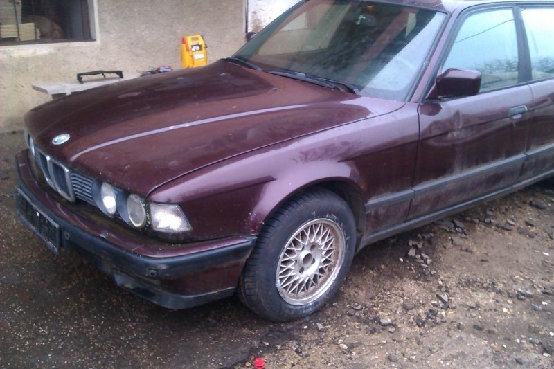IMAG0051.jpg